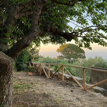 L'Ulivo In Villa Greco Tindari Esterno foto