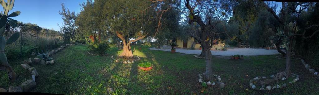 L'Ulivo In Villa Greco Tindari Esterno foto