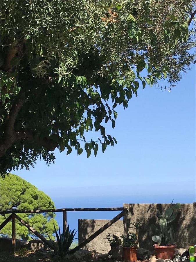 L'Ulivo In Villa Greco Tindari Esterno foto