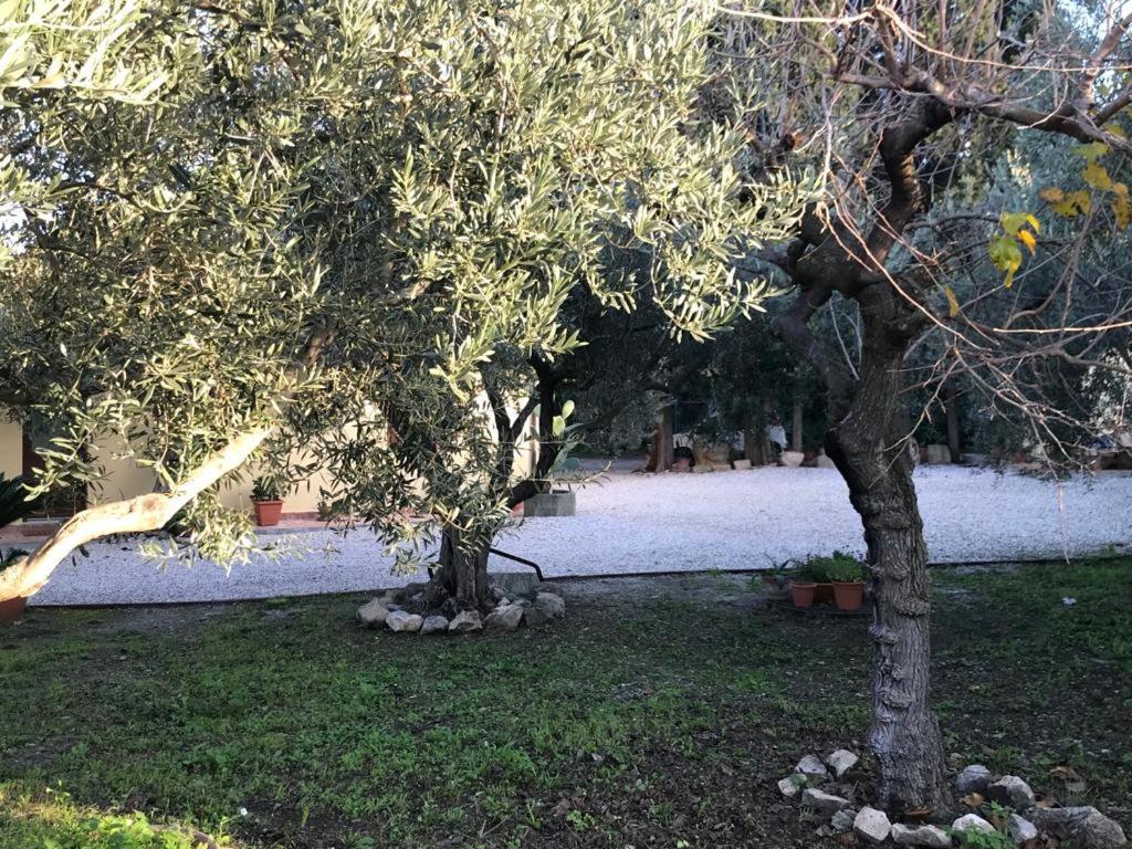 L'Ulivo In Villa Greco Tindari Esterno foto