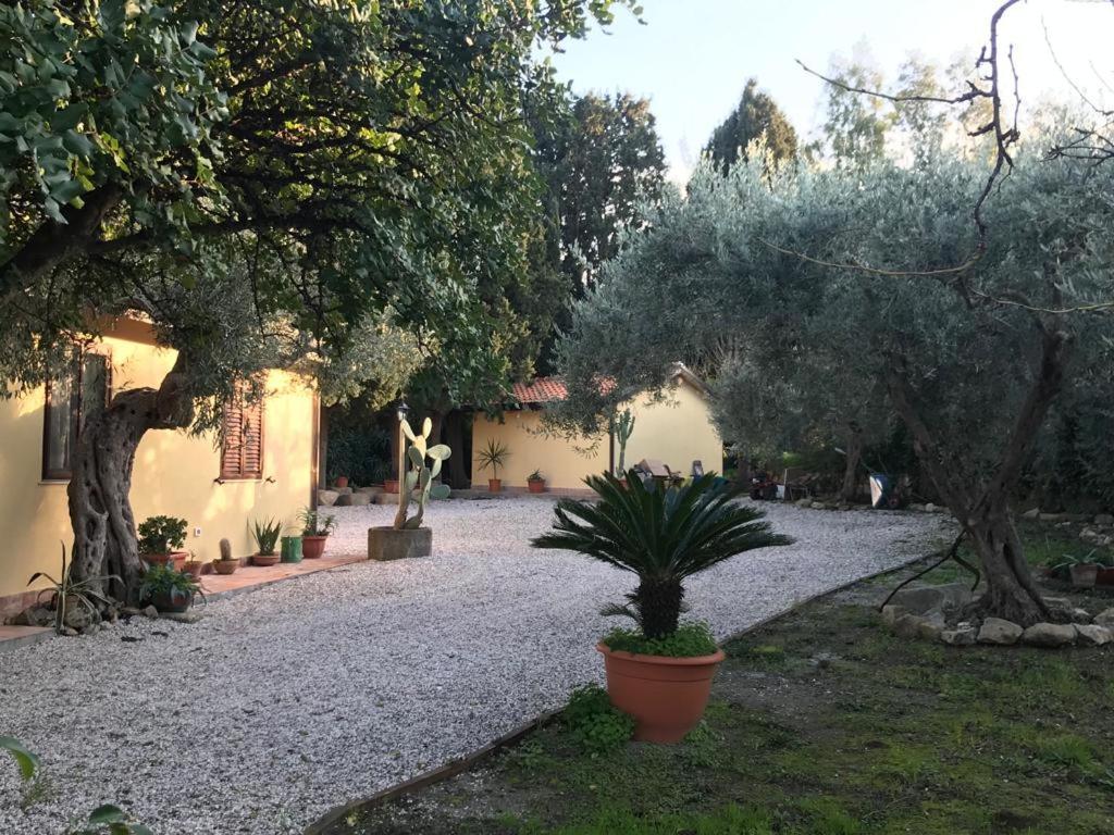 L'Ulivo In Villa Greco Tindari Esterno foto