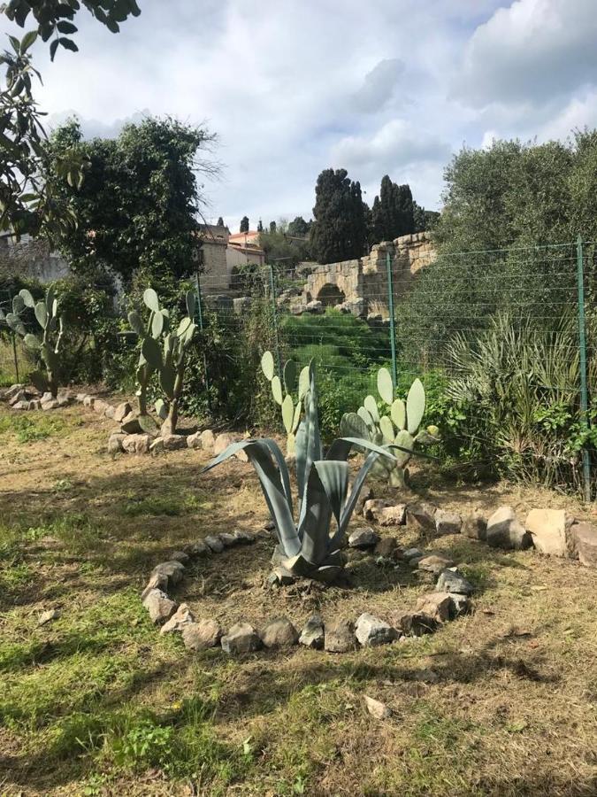 L'Ulivo In Villa Greco Tindari Esterno foto