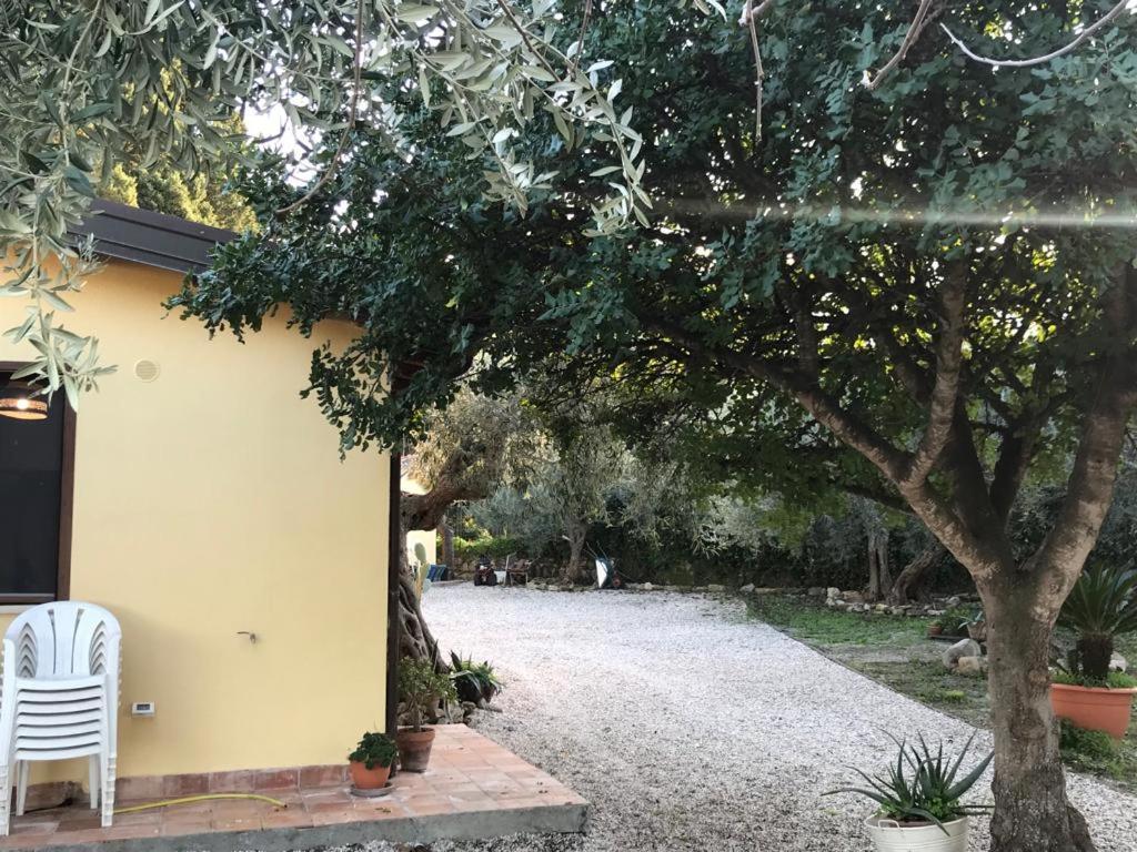 L'Ulivo In Villa Greco Tindari Esterno foto