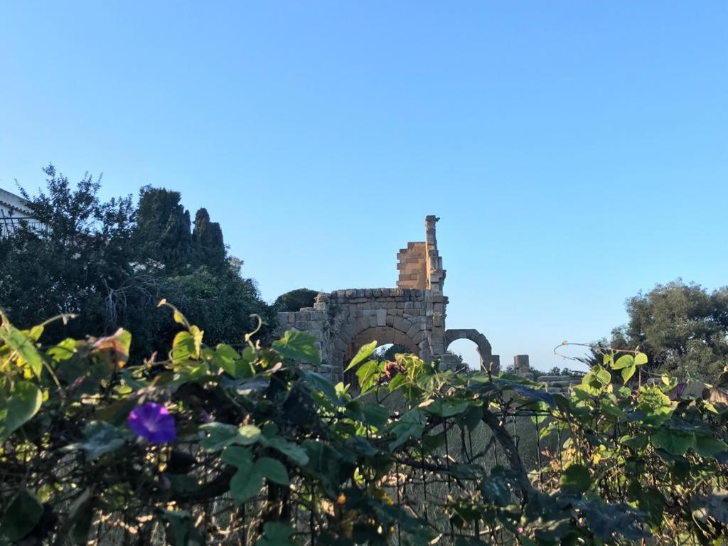 L'Ulivo In Villa Greco Tindari Esterno foto