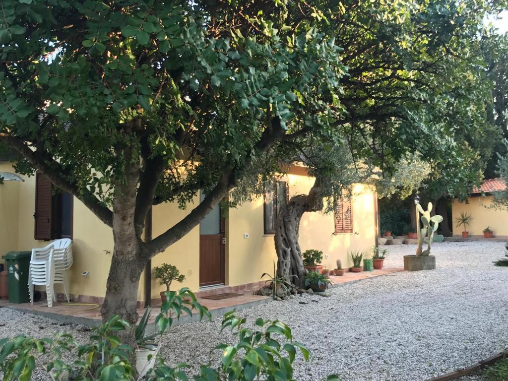 L'Ulivo In Villa Greco Tindari Esterno foto
