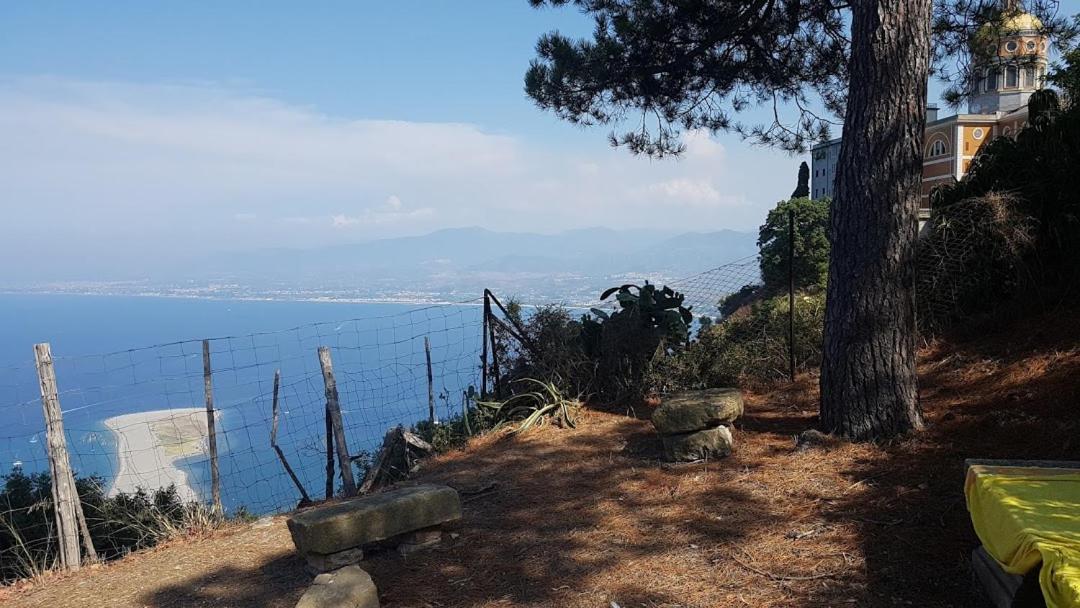 L'Ulivo In Villa Greco Tindari Esterno foto