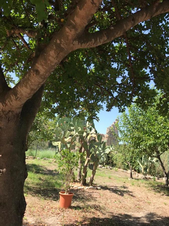 L'Ulivo In Villa Greco Tindari Esterno foto