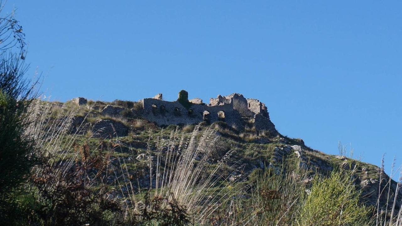 L'Ulivo In Villa Greco Tindari Esterno foto