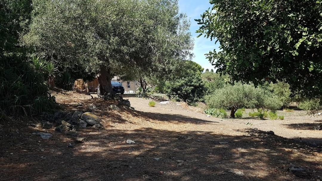 L'Ulivo In Villa Greco Tindari Esterno foto