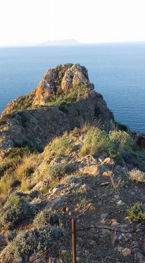 L'Ulivo In Villa Greco Tindari Esterno foto