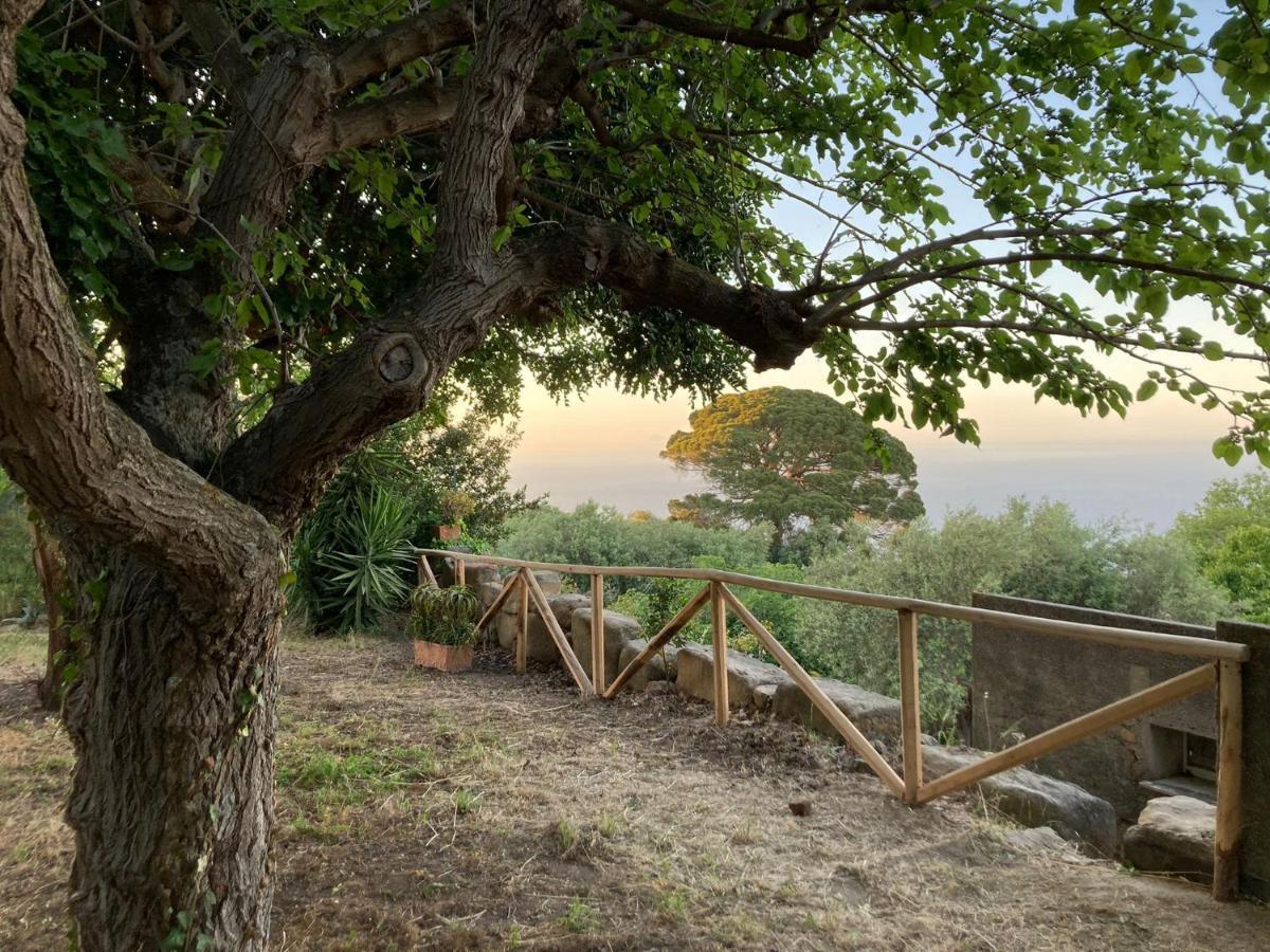 L'Ulivo In Villa Greco Tindari Esterno foto